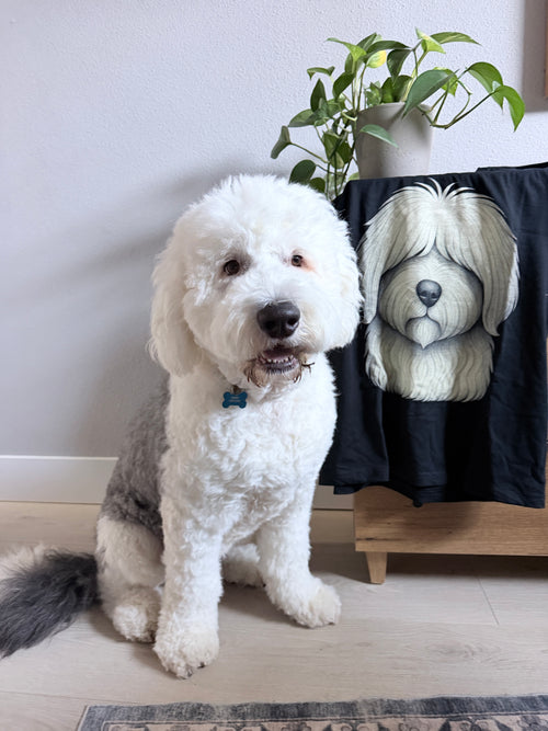 Walter — Director of Home Operations