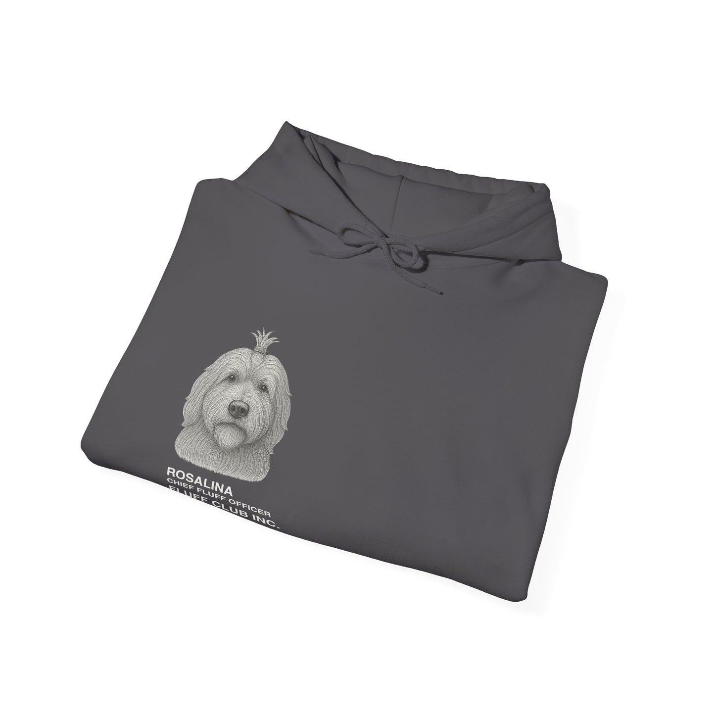 Chief Fluff Officer - Lightweight Hoodie
