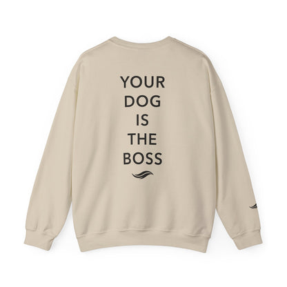 Back view, Sand: 'Your dog is the boss' tagline